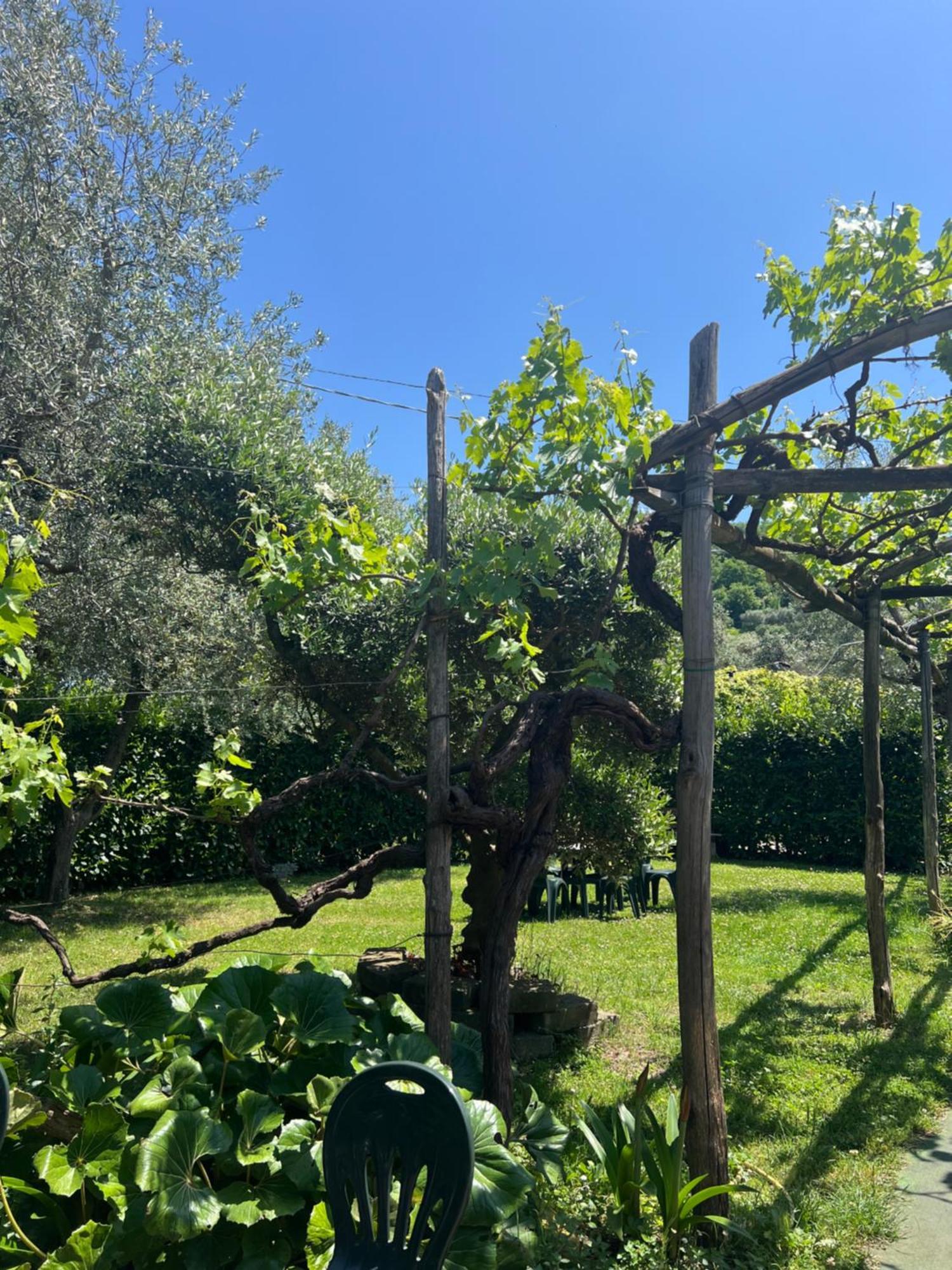 Villa Agriturismo Le Grottelle SantʼAgata sui Due Golfi Exterior foto