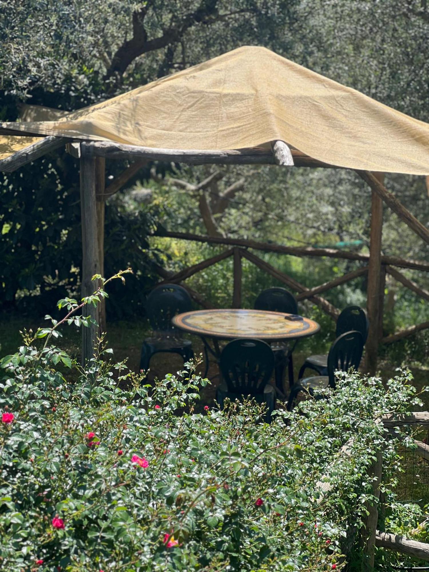 Villa Agriturismo Le Grottelle SantʼAgata sui Due Golfi Exterior foto
